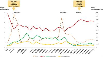 Case report: Transfusion independence and abolition of extravascular hemolysis in a PNH patient treated with pegcetacoplan